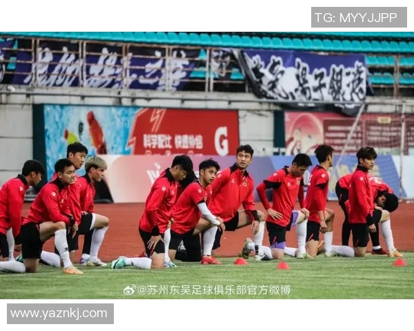 南京排球队拼搏历程揭秘努力与荣耀交织的杯赛之路 南京排球队拼搏历程揭秘努力与荣耀交织的杯赛之路