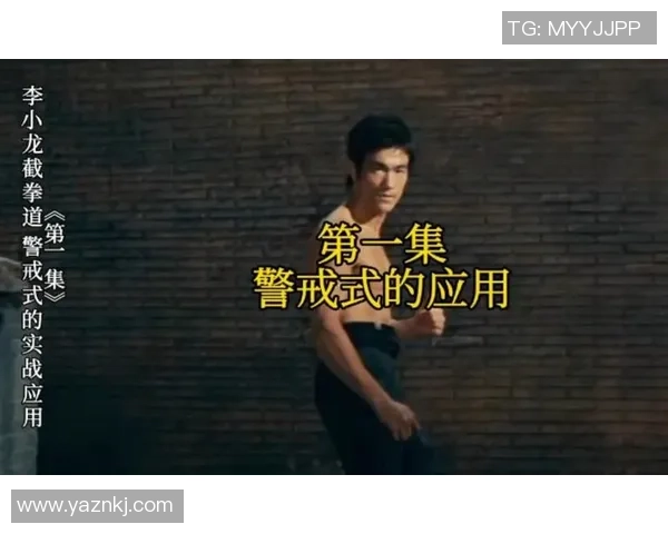 深入分析重庆排球队防反战术的独特魅力与实战应用 深入分析重庆排球队防反战术的独特魅力与实战应用