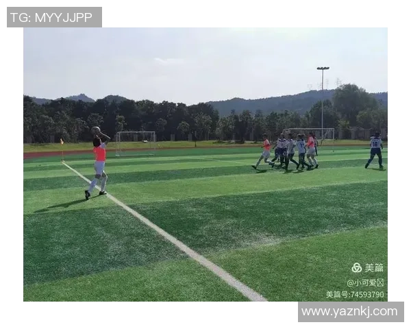 深圳足球队在冠军赛中的战术解析与表现评估