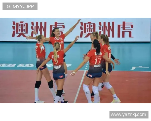 排球纪实：记录深圳排球队的逆袭之旅