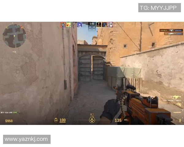 热议CS_GO：IG的配合变革